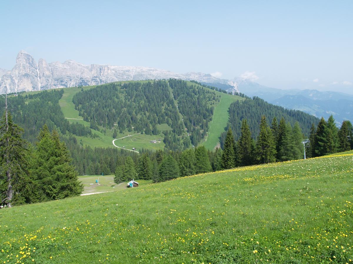 Residence Vajolet San Cassiano Сан-Кассиано Экстерьер фото